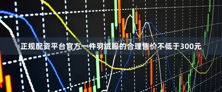 正规配资平台官方一件羽绒服的合理售价不低于300元