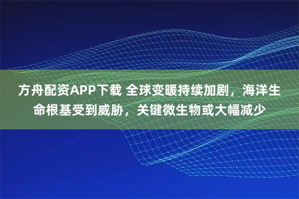 方舟配资APP下载 全球变暖持续加剧，海洋生命根基受到威胁，关键微生物或大幅减少