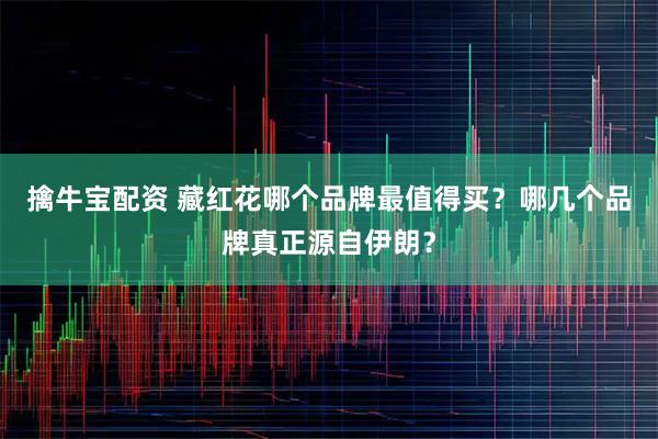 擒牛宝配资 藏红花哪个品牌最值得买？哪几个品牌真正源自伊朗？