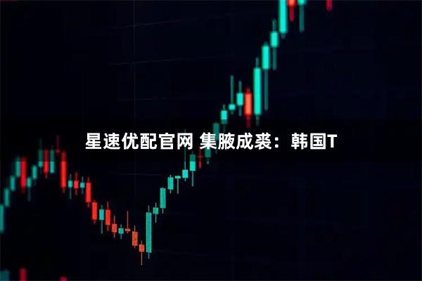 星速优配官网 集腋成裘：韩国T